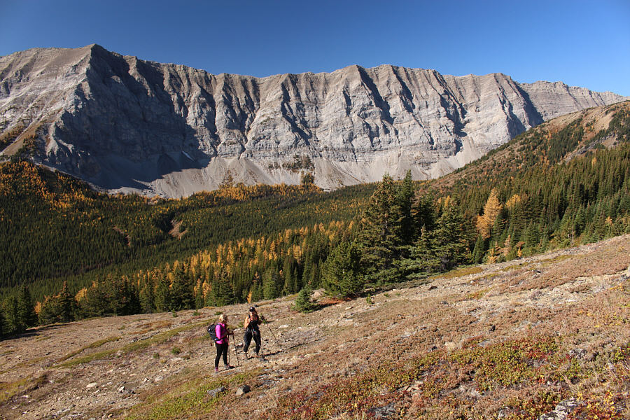 That means that there is PST on the other side of that rock wall!