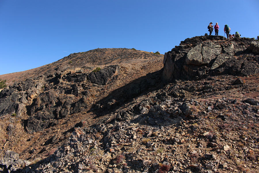 I think they were photographing a fuzzy caterpillar up there!