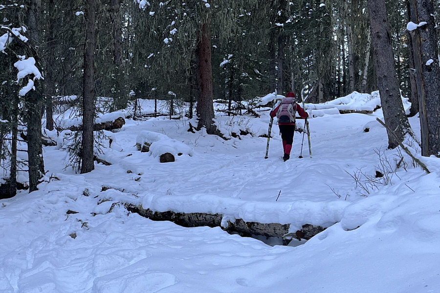 We would walk down this on the way back too!