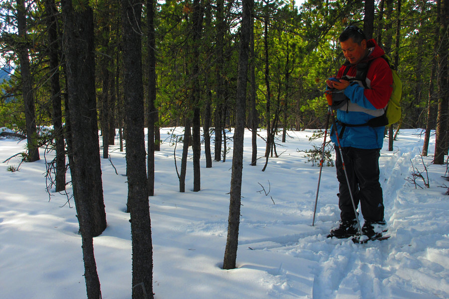 Another tree-covered high point...sigh.