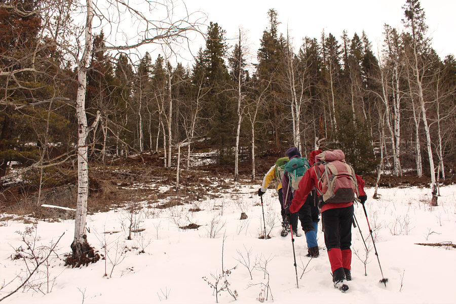 We don't need no stinkin' trail!