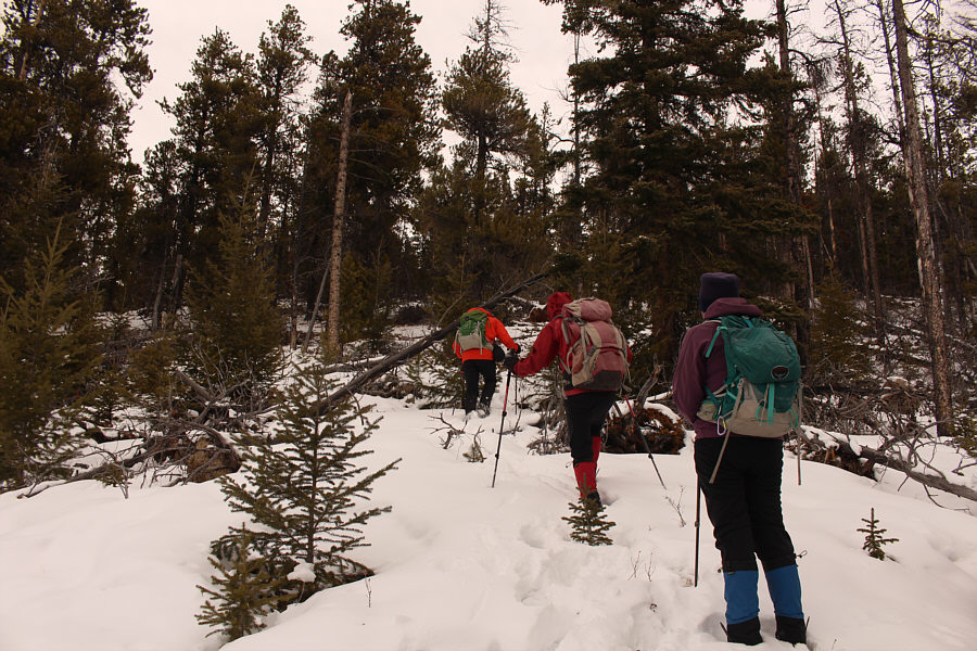 It helps if you have Bob Spirko leading the way!