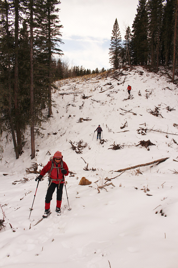 The snow helps hide all the ugly logging debris here.