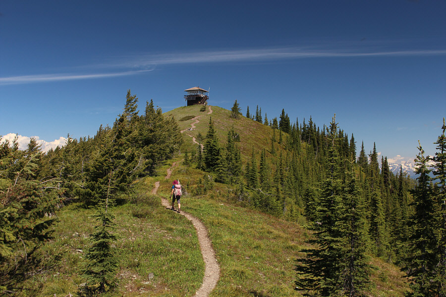I wonder if the outhouse is open...
