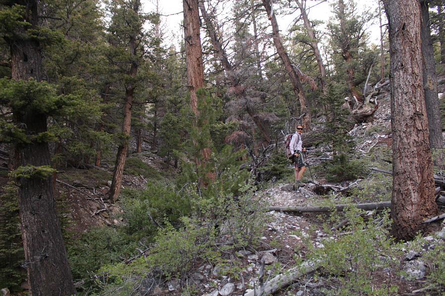 Technically easy, but some route-finding is still necessary.