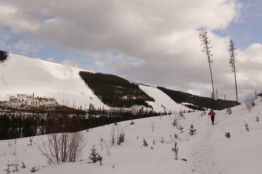 Too bad the ridge is not easy to access.