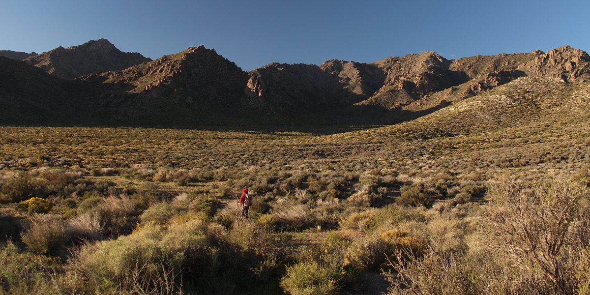 The start of an awfully long day...