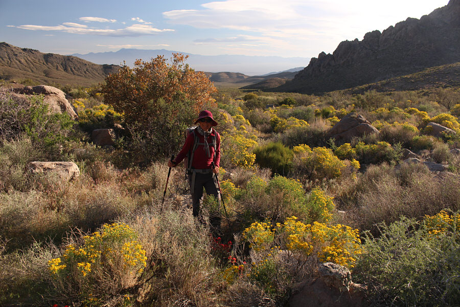 Pretty, but I'd rather have a trail here!