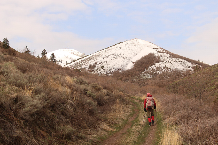 Easy walking so far!