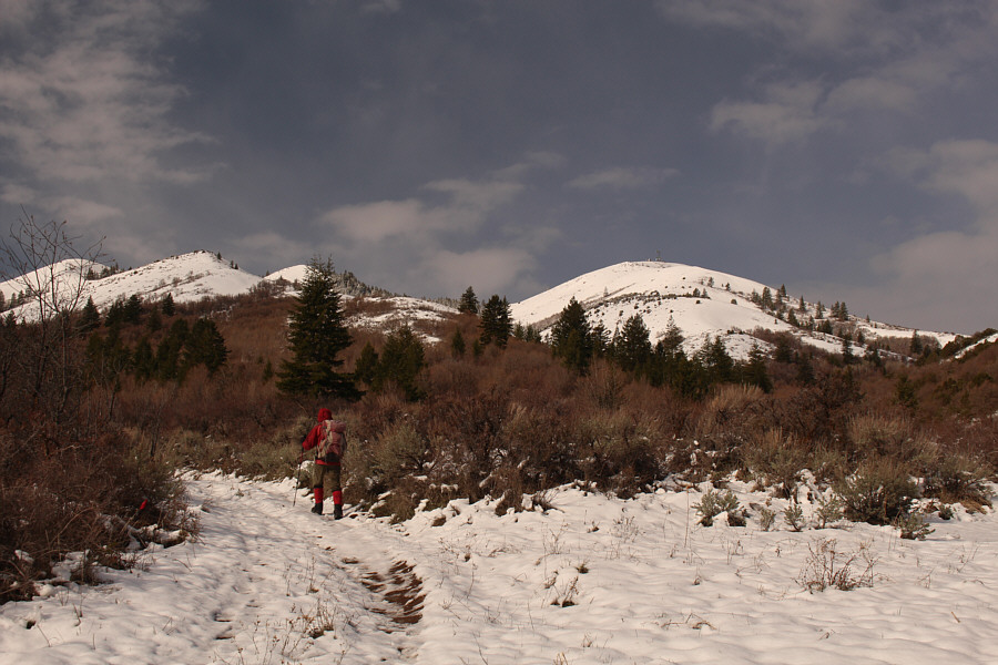 Stick to the road for now.