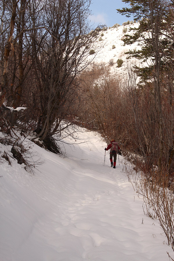 Winter just won't go away this year!