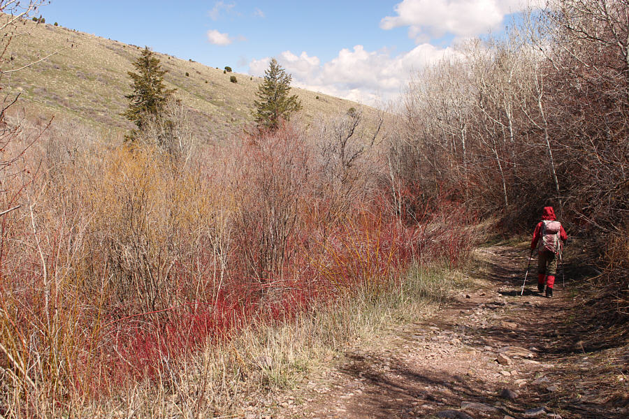 Lots of muddy sections to tiptoe through on the way back!