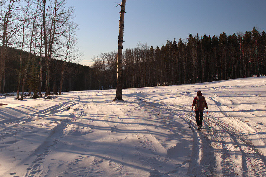 Still quiet here at this time...