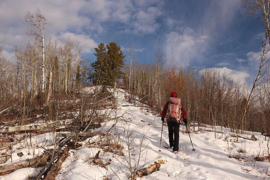 For those who are not so lazy!