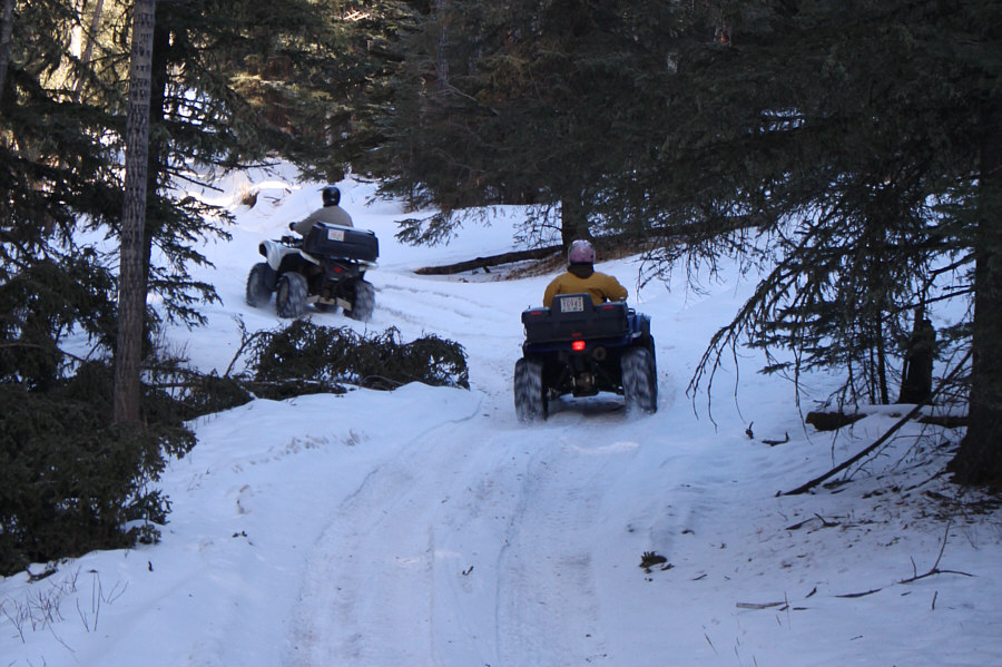 Might be Zosia's next hobby if her leg never heals!