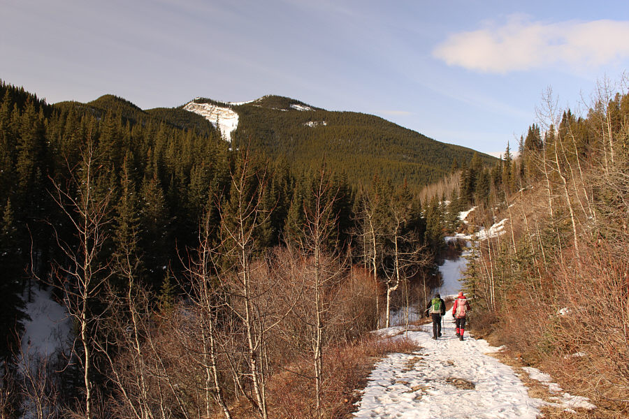 Worth checking out in the future!