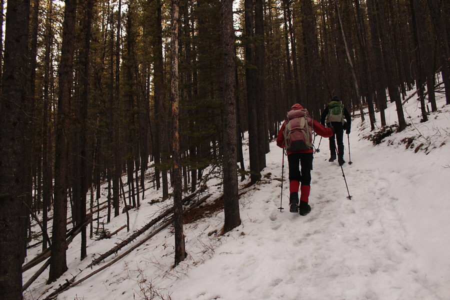 Cleats are recommended but not necessary on this day.