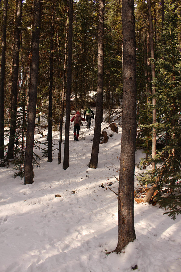 Get ready for a steep grunt!