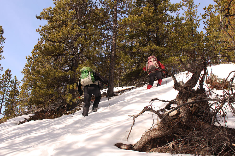 It's been awhile since I've had to work this hard!