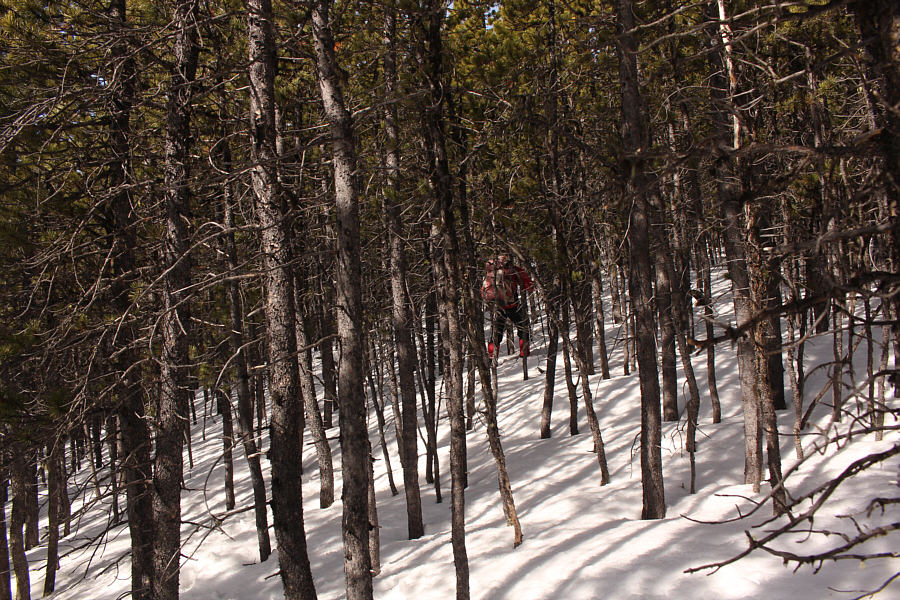 Not recommended for wide people...