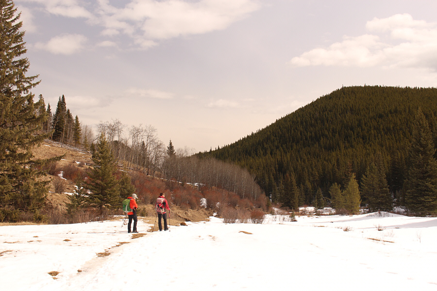 Spring is definitely in the air!