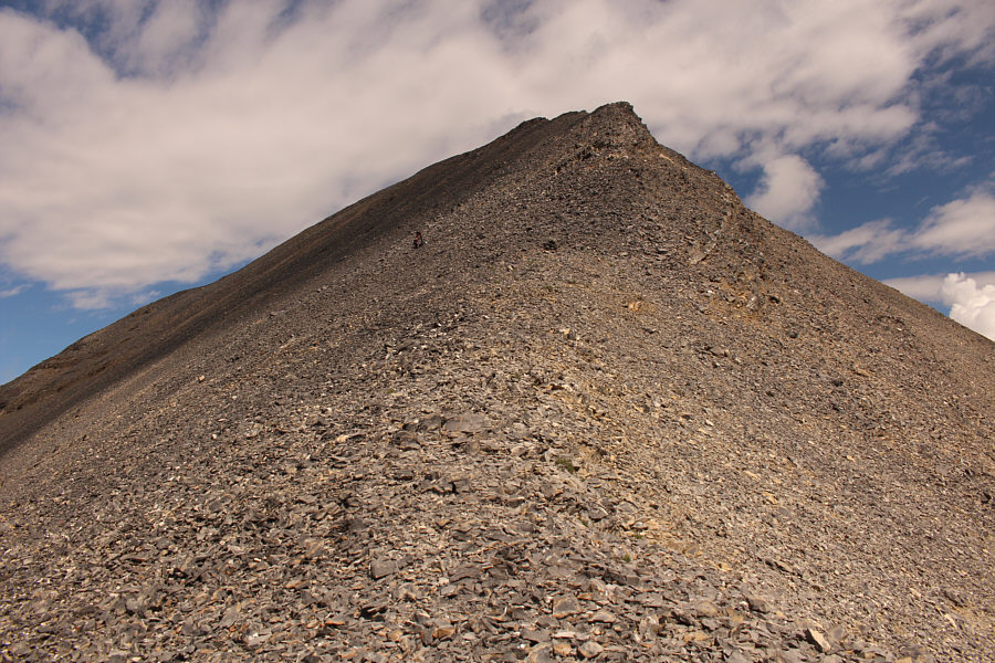 Zosia has a lot of patience.