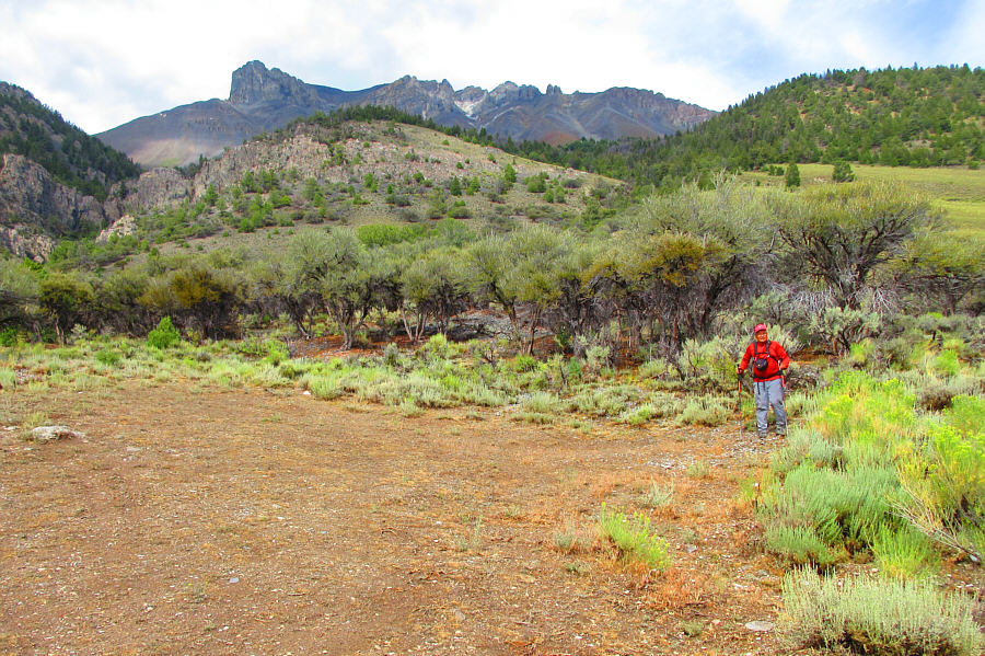 You would hardly know that there is a trail here!