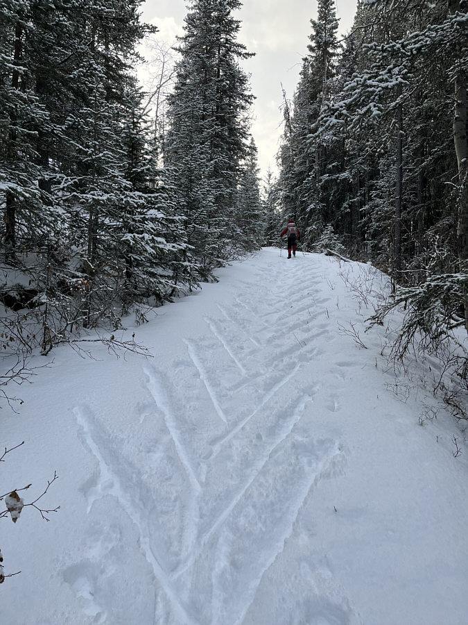 Zosia makes this look so effortless!