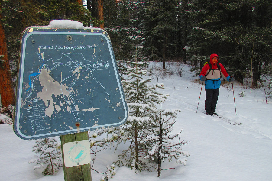 So what are my K-Country fees used for?