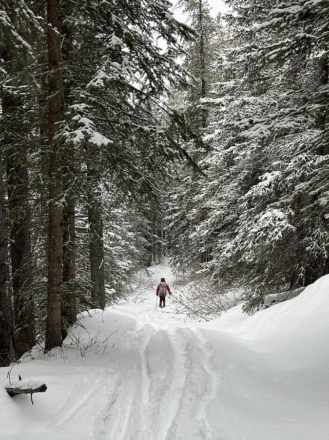 It's not all snow plowing!