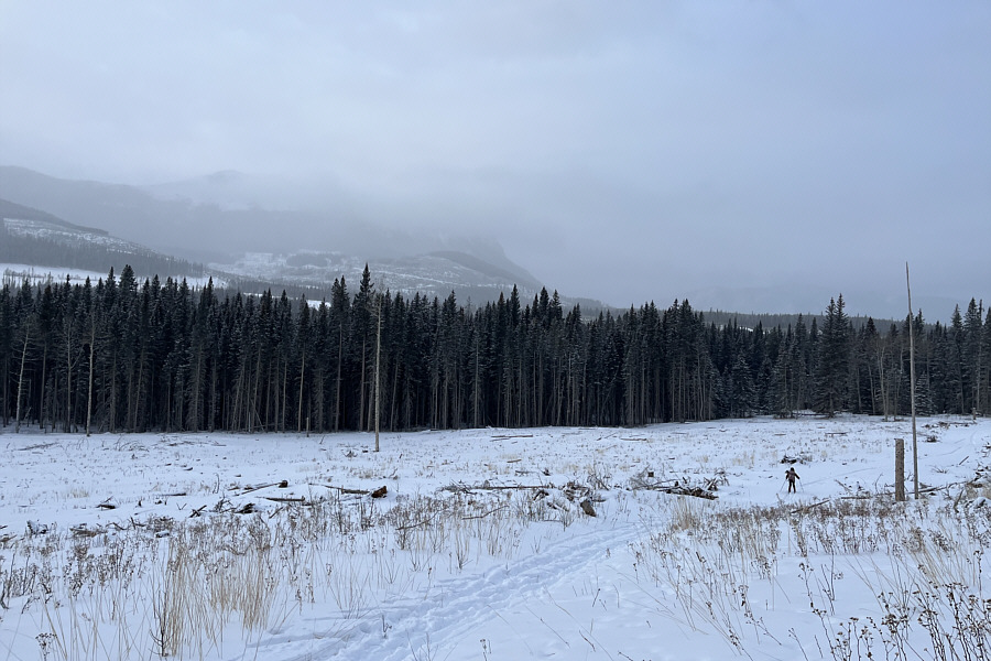 Still kinda scenic though!