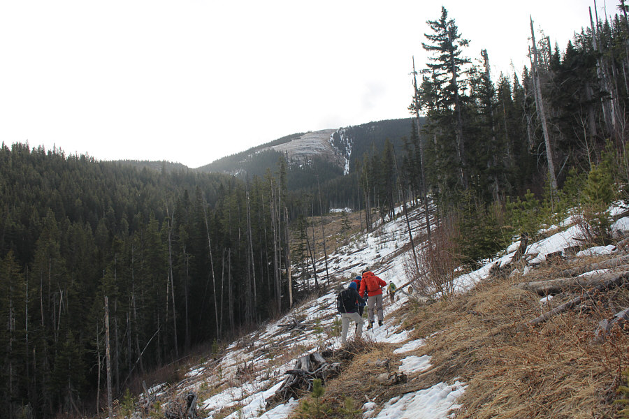 That's where we're headed!