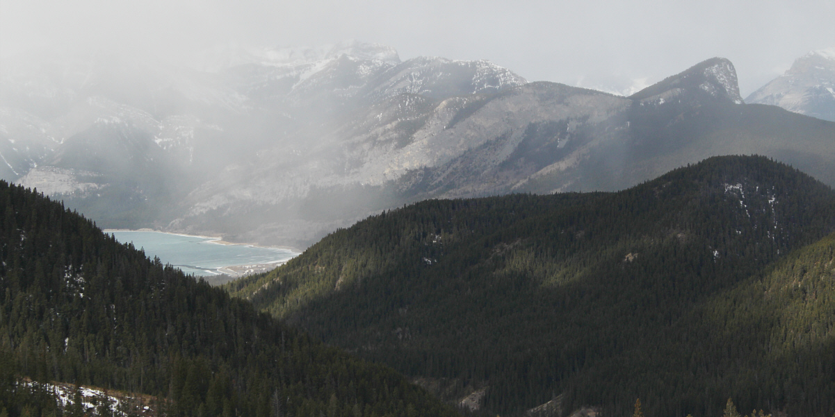 Better than a kick in the pants, I suppose!