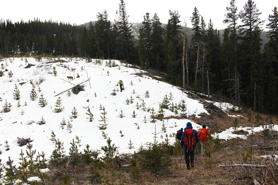 It's best to avoid the snow on this day...go right!