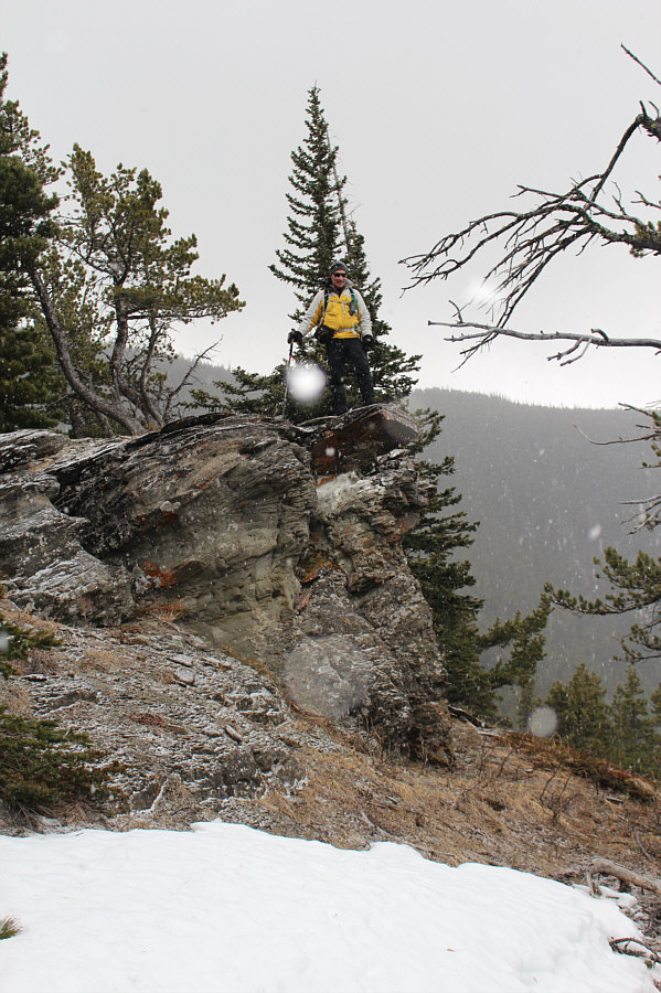 Optional scrambling!