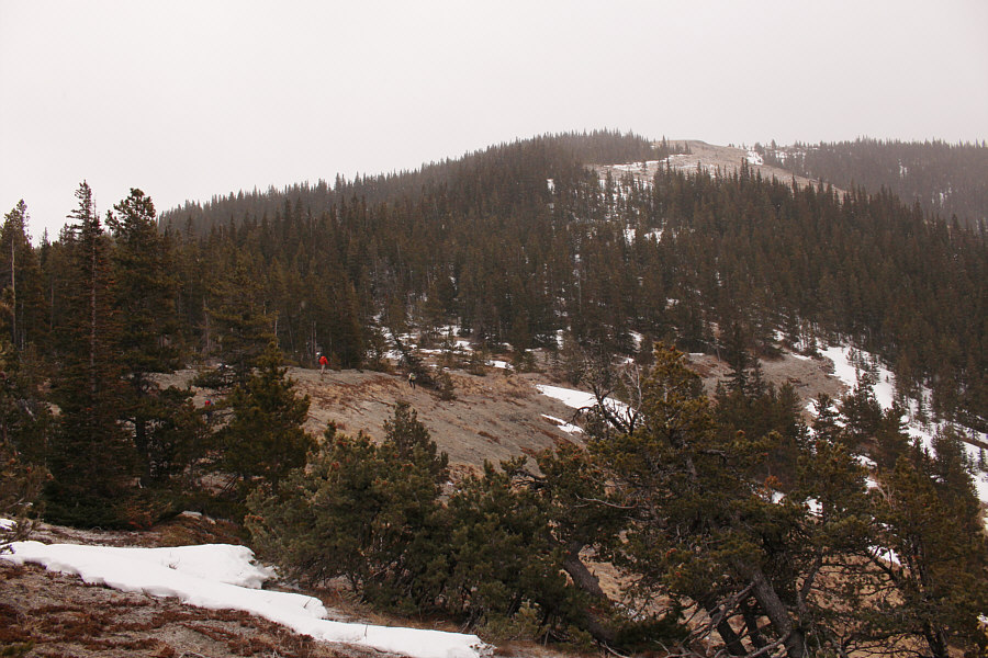 Doesn't look so bad from here...