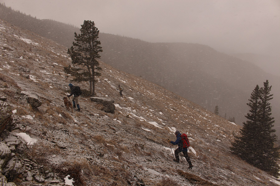 Feels like winter again...