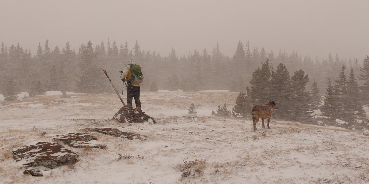 I wonder what Ruthie thinks of this "nice" weather...