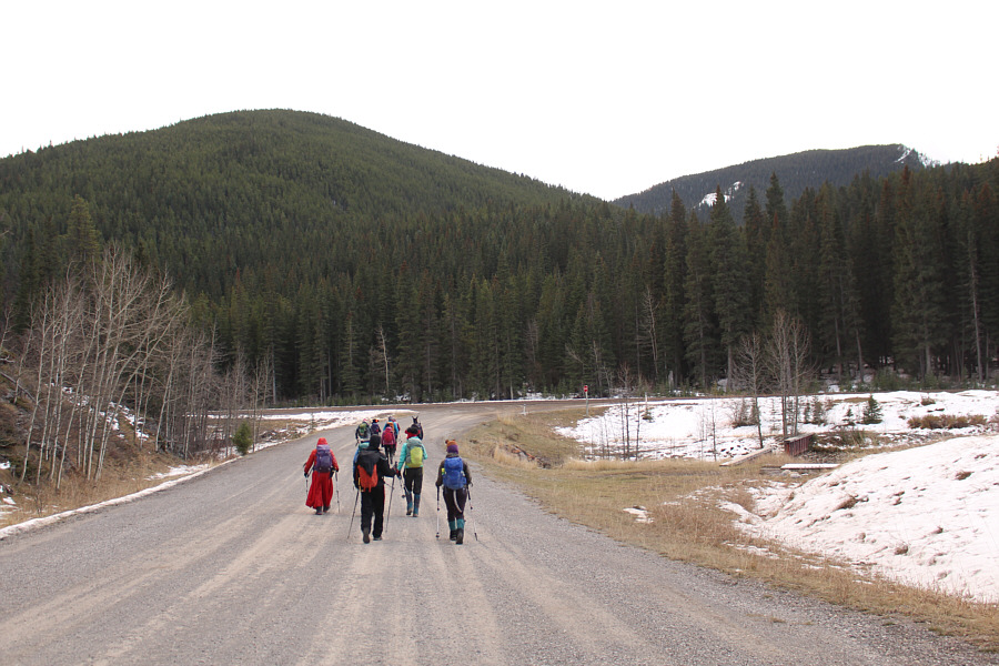 Hmmm...looks like we're in for some scary bushwhacking...