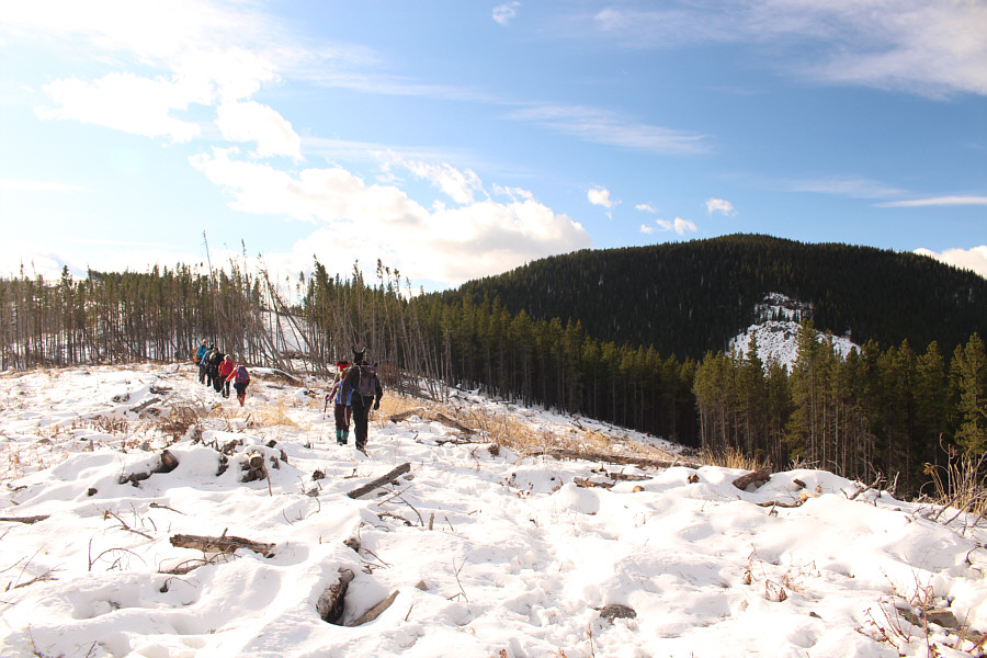 It's like a conga line up there!