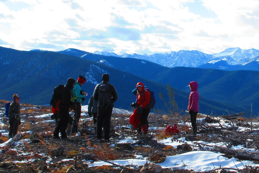 There's a VHS video tape in this geocache...how quaint!