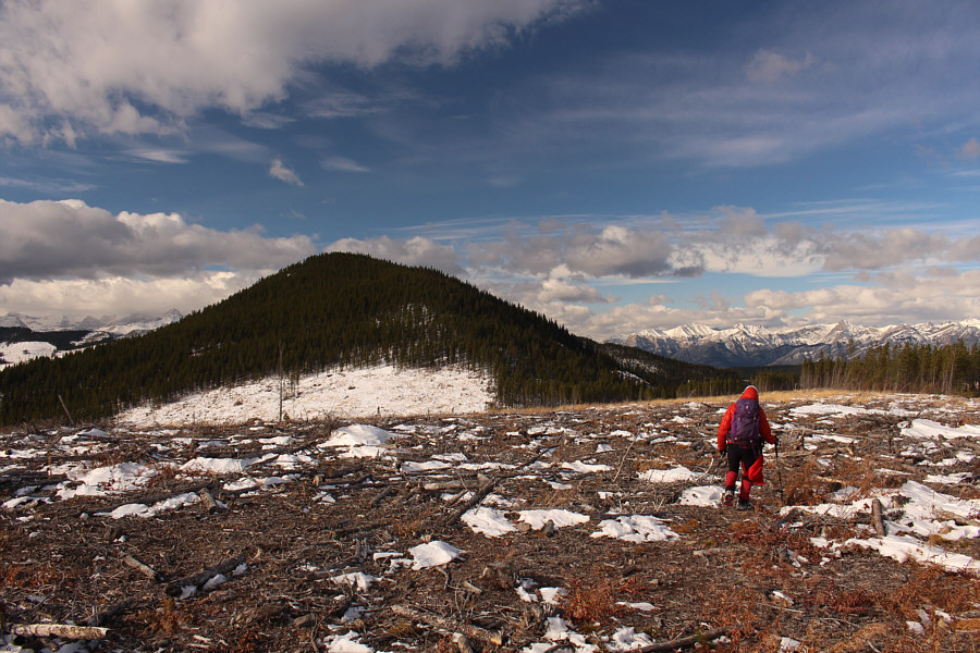 Looks like another tree-covered high point...or is it?