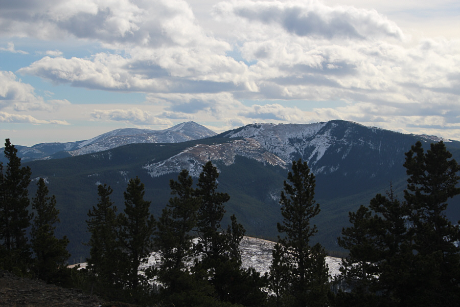 Both are maybe due for another visit from me in the near future...