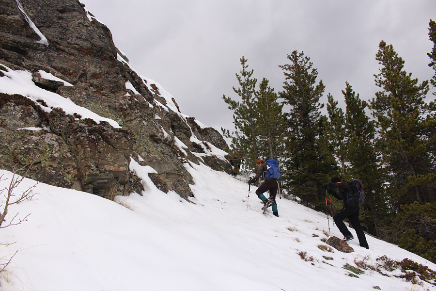 Possibly okay to scramble if dry but not today!