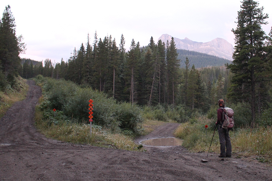 The left-hand road goes to Willoughby Ridge (Ironstone Lookout).