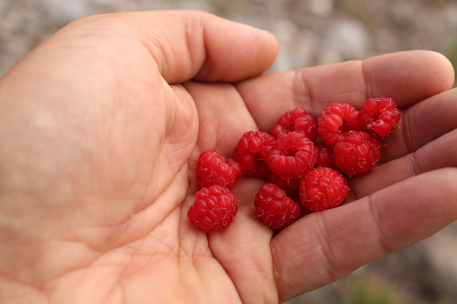 I was too eager to keep climbing to eat much.