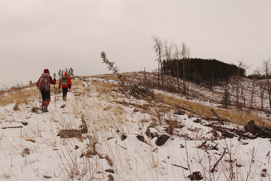 The area is kinda ugly, but at least the ATVs don't come here!