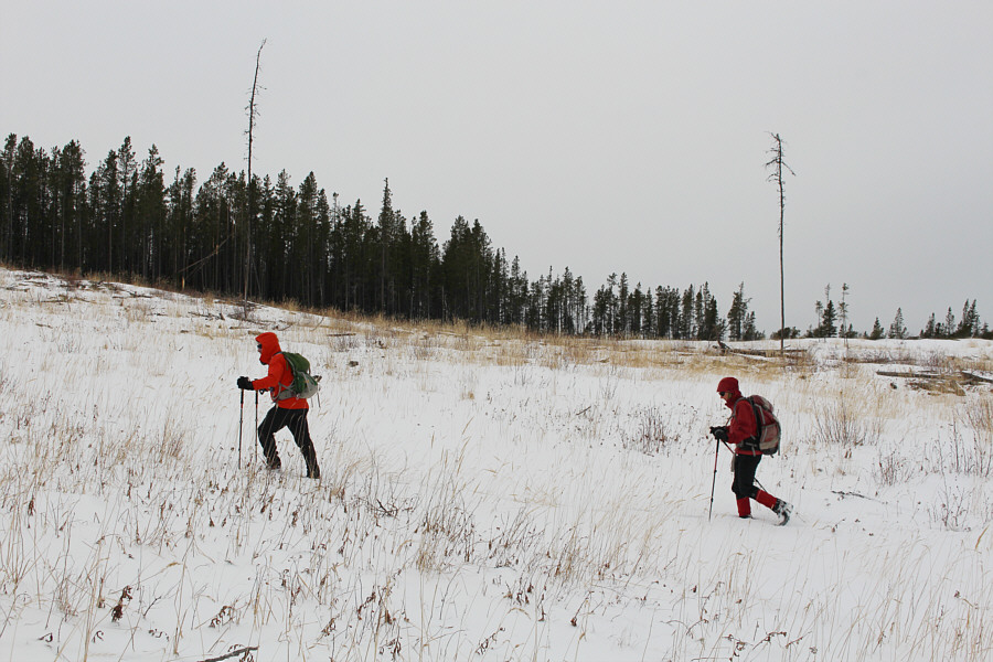 Follow Bob; he knows where he's going!