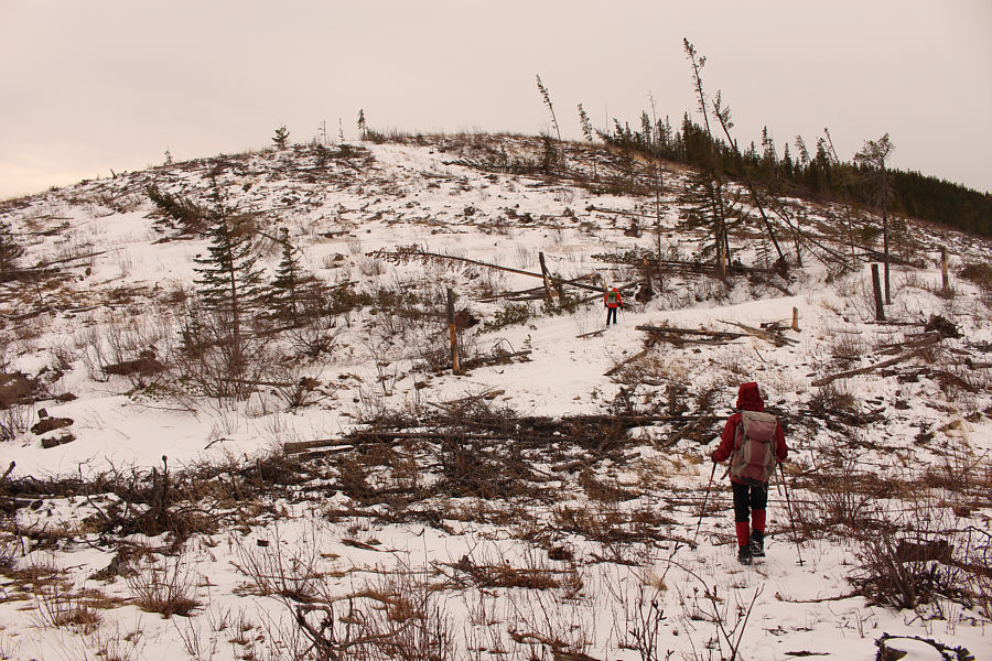 The ATV road is our ticket home!