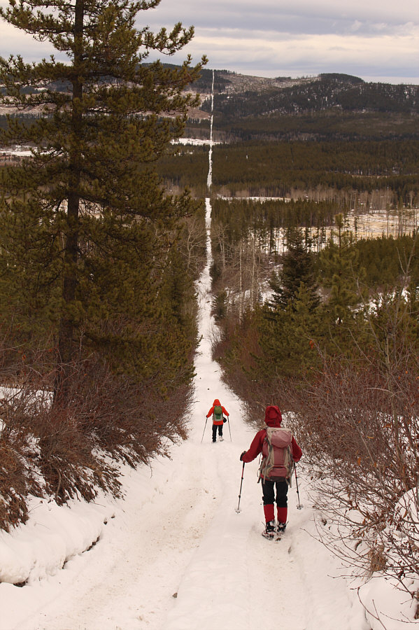 I'm always amazed at how straight these cut lines are!